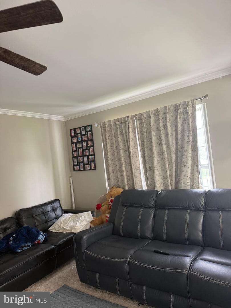 11215 Heron Place photo 14