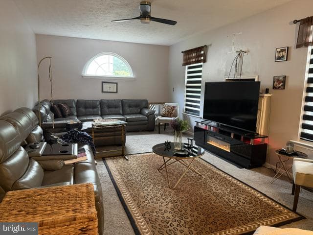 3355 Elsa Avenue photo 6