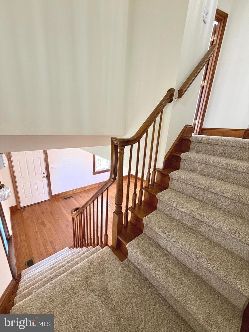 103 Williamson Street photo 26