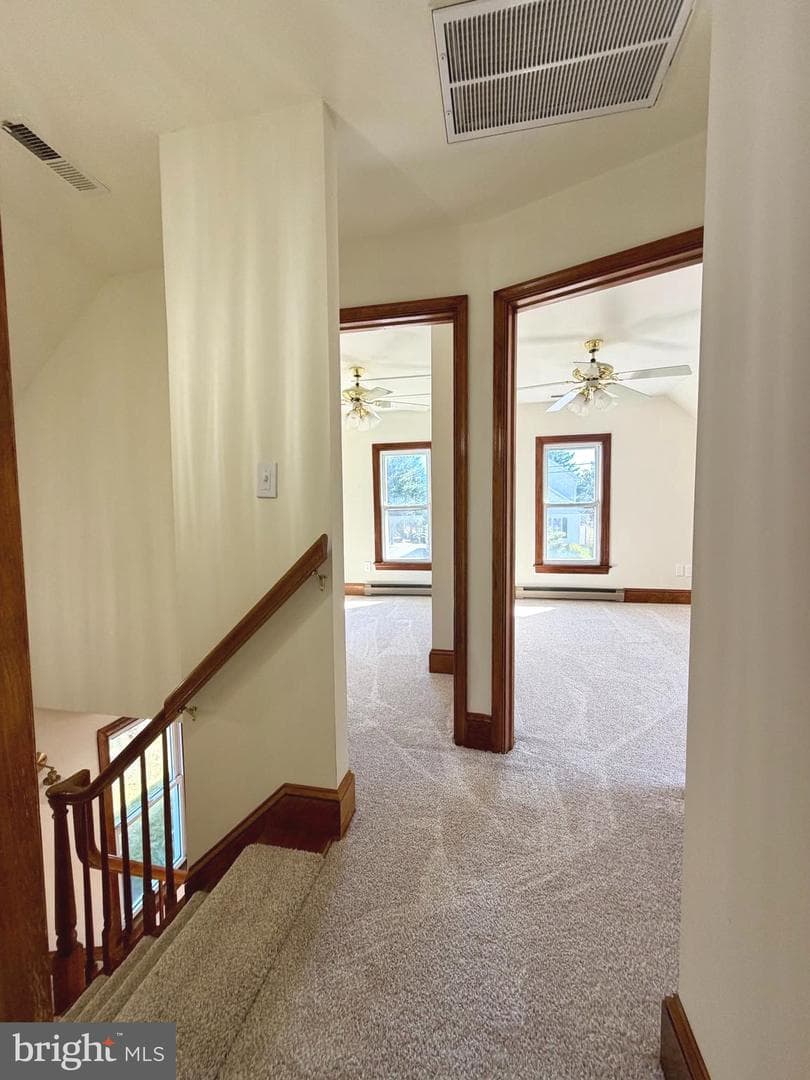 103 Williamson Street photo 32