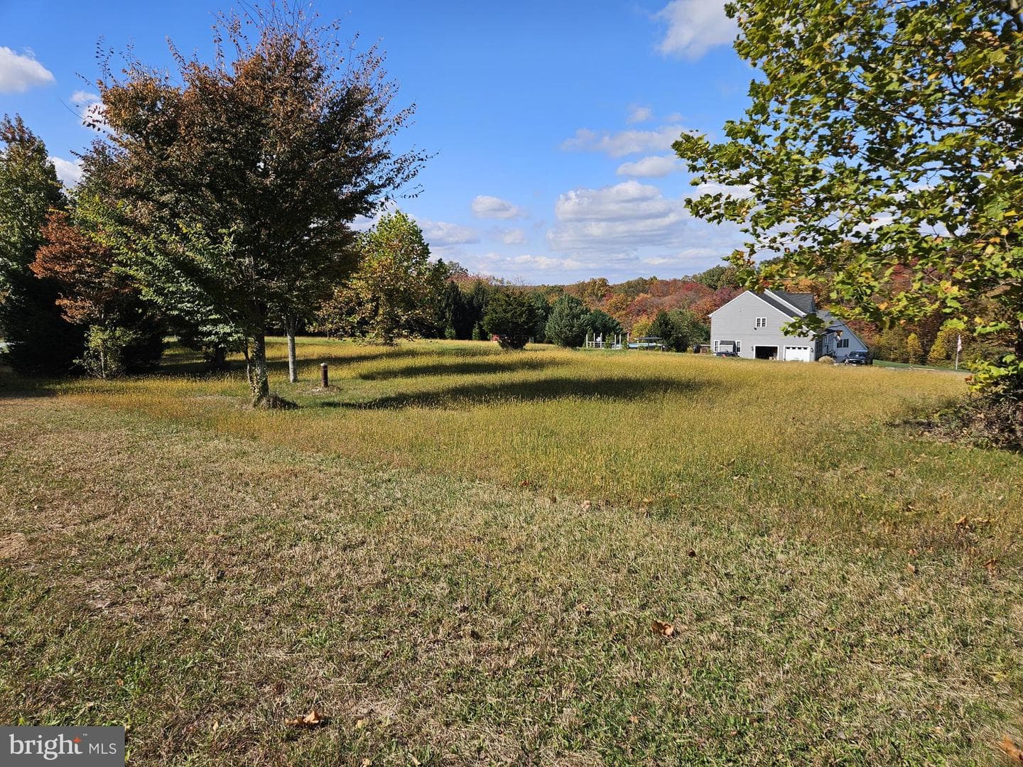 Arnold Road photo 6