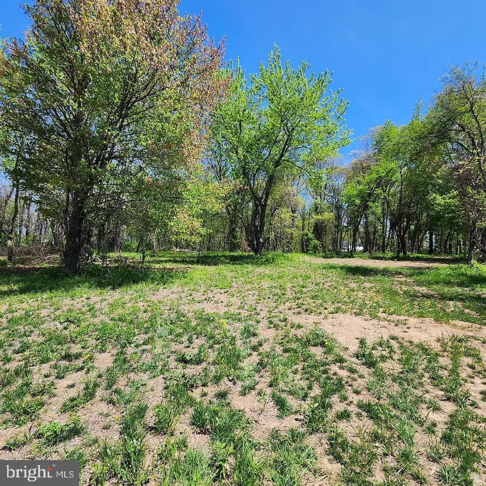 Lot 1 Snydersburg Road photo 16