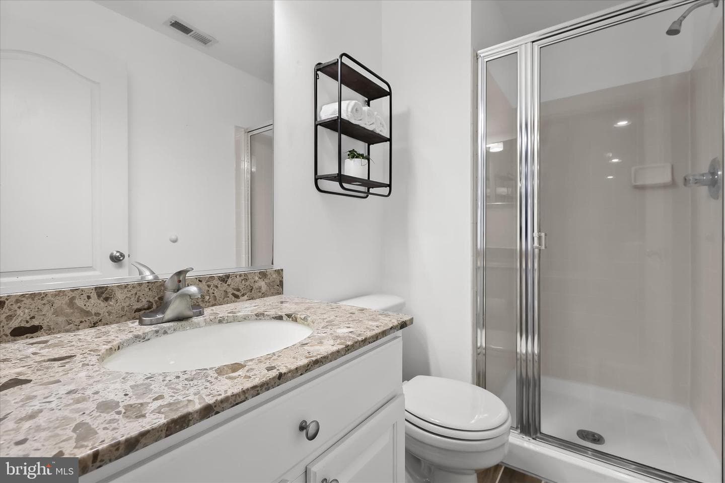 303 Bridlewreath Way photo 53