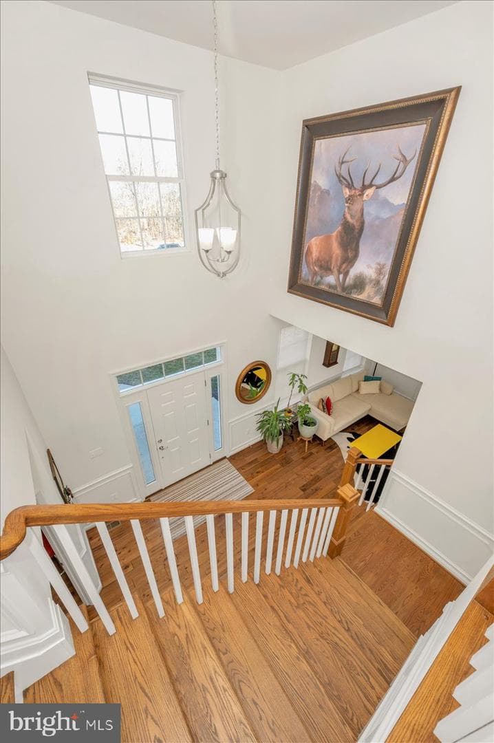 971 Erna Drive photo 4