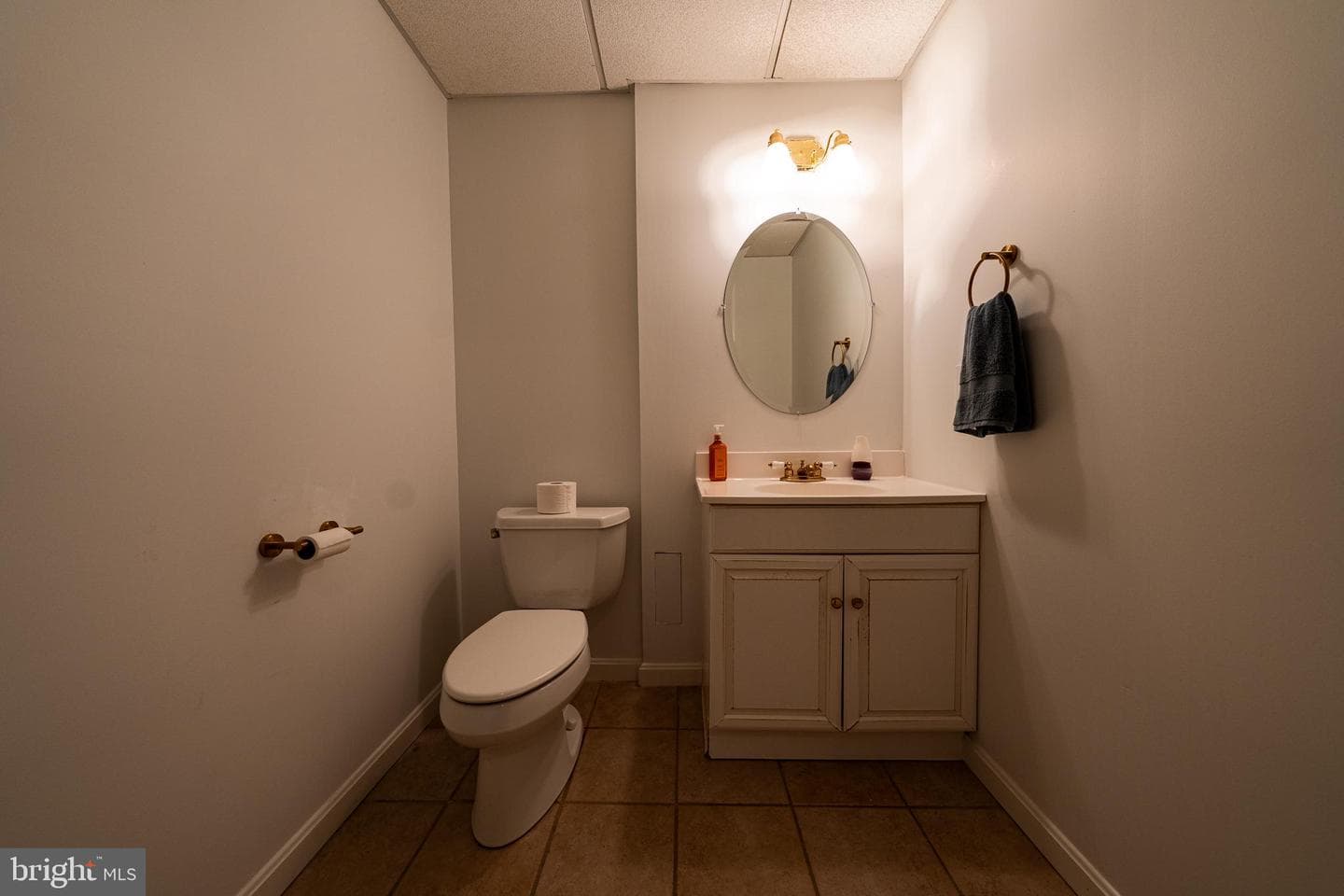 6709 Purple Martin Court photo 40