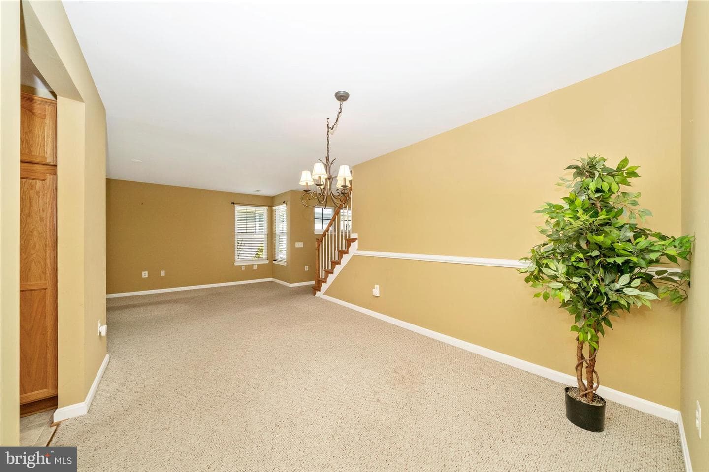 908 Roller Coaster Court photo 15
