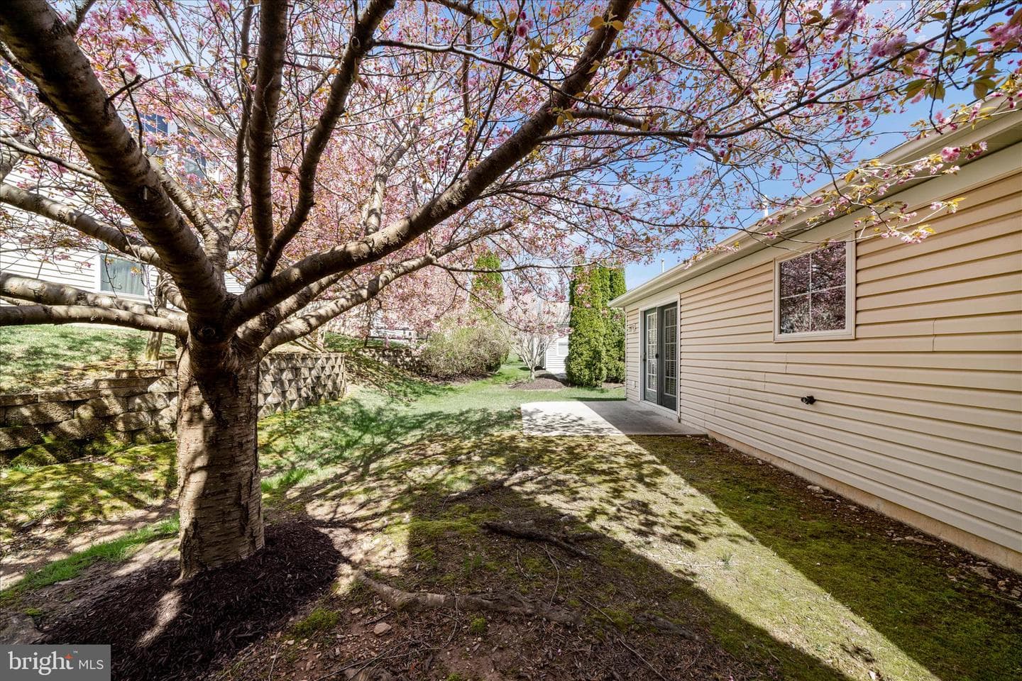 908 Roller Coaster Court photo 54