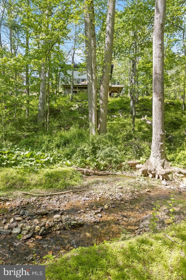 927 Buckhorn Road photo 128