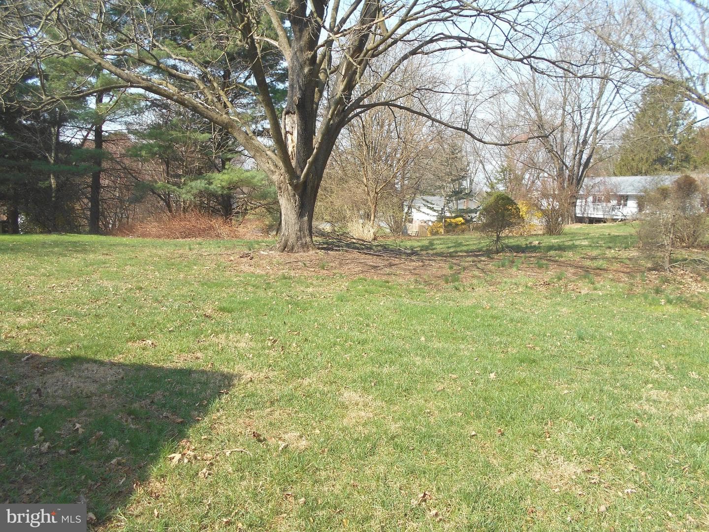 822 Wisteria Drive photo 7