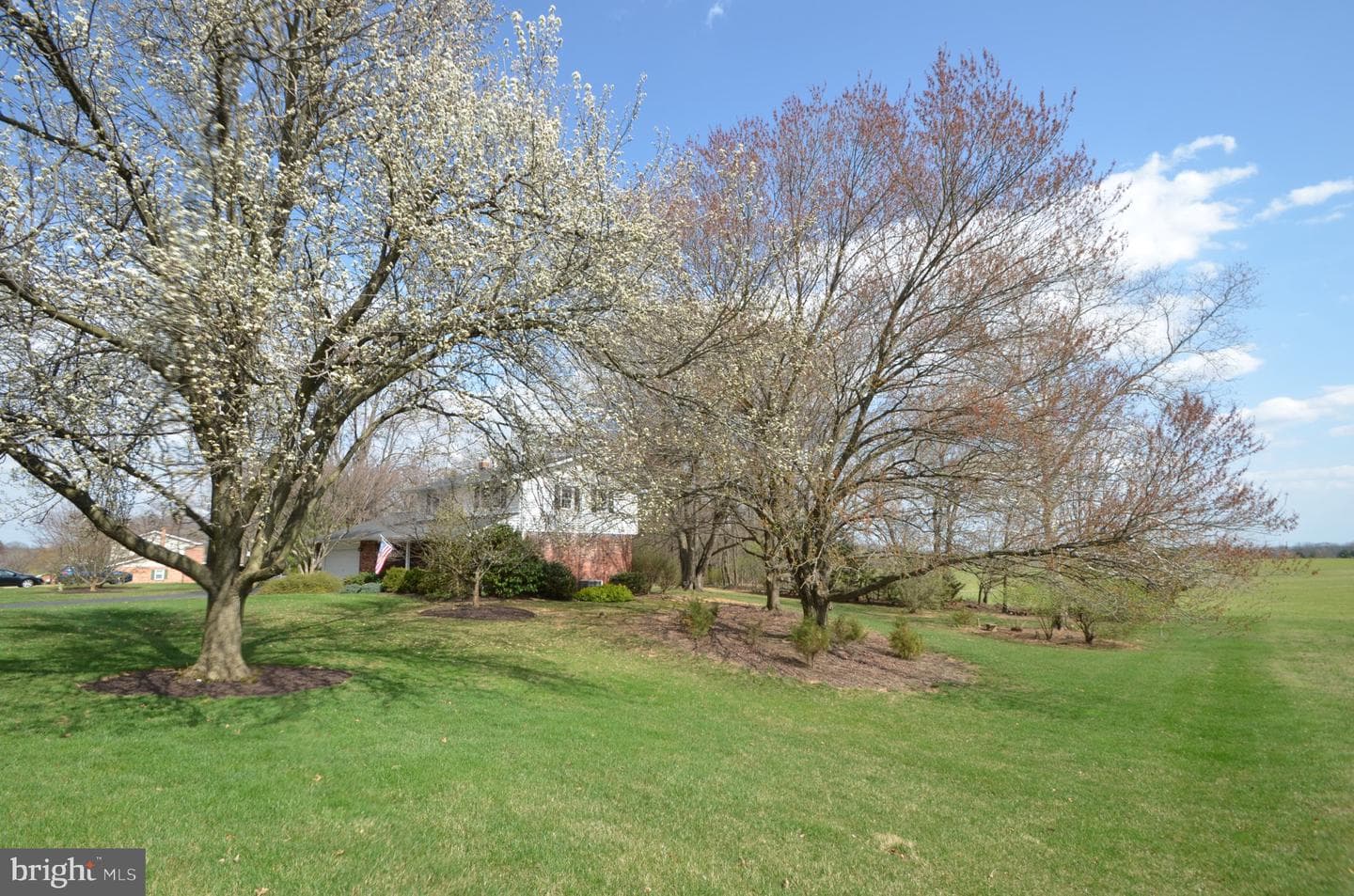 901 Lee Avenue photo 5