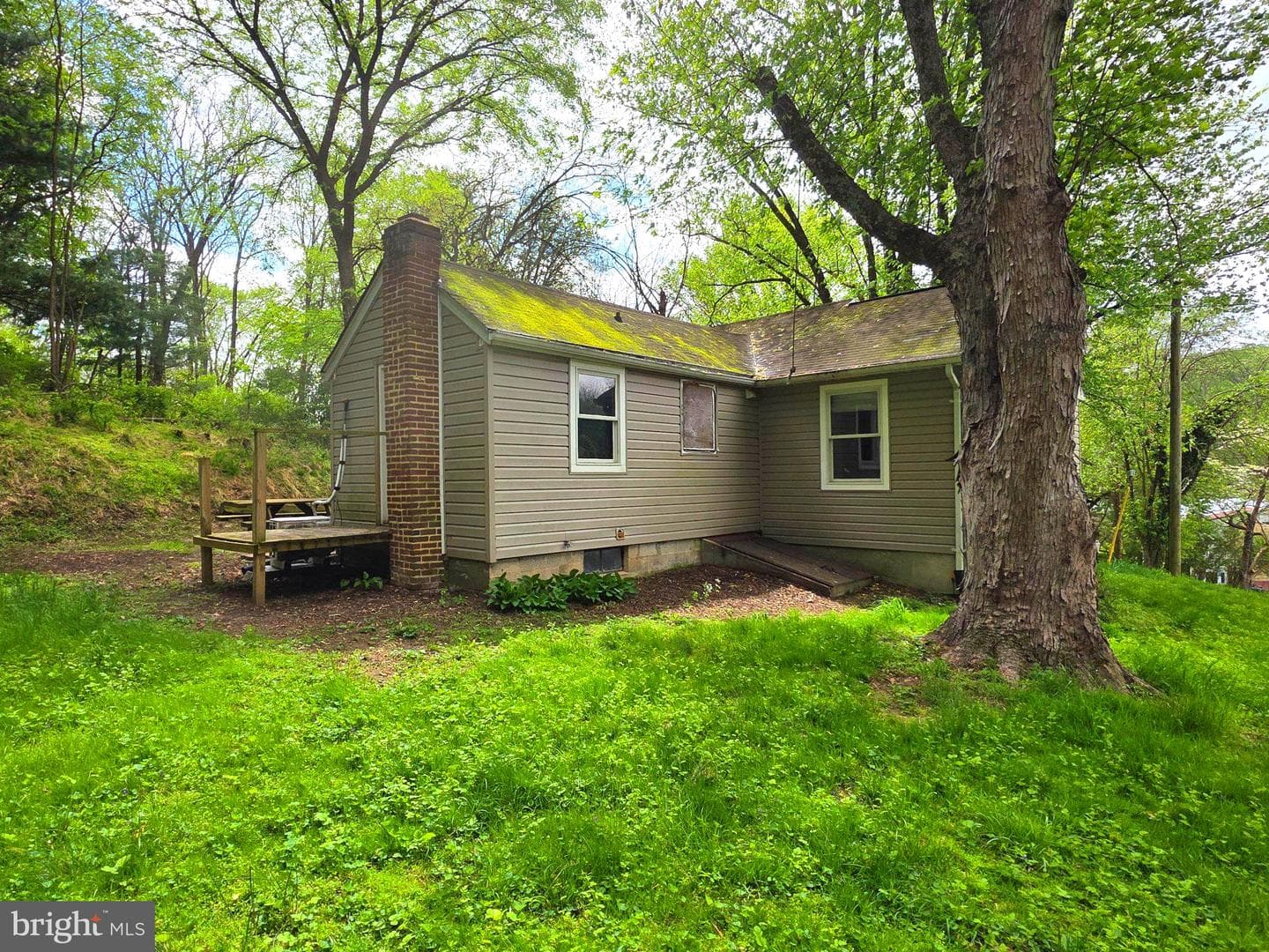 718 Wilson Avenue photo 5