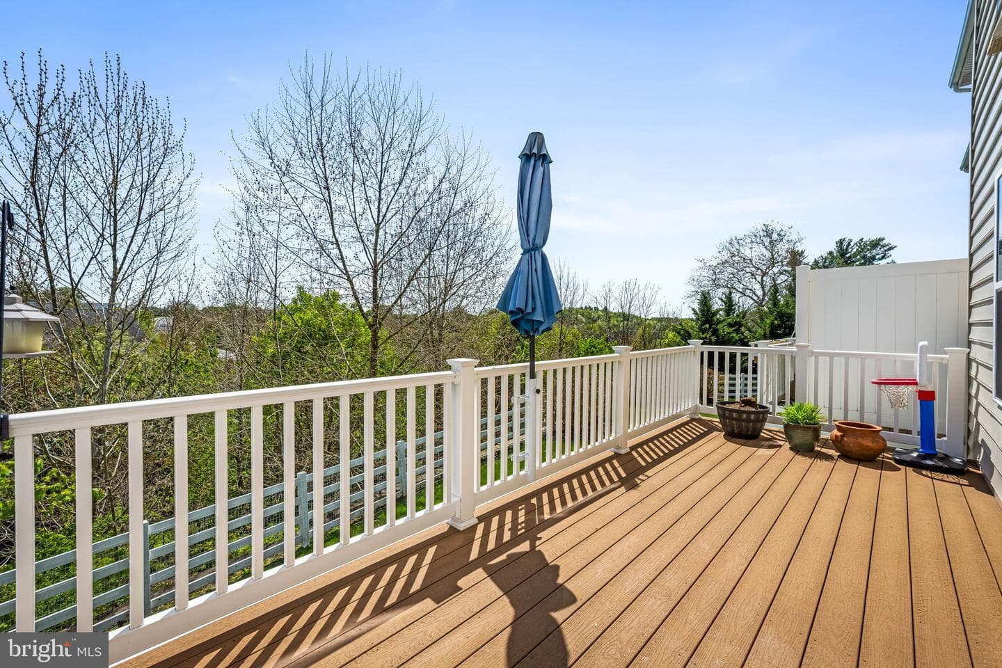 915 Magnolia Blossom Court photo 18