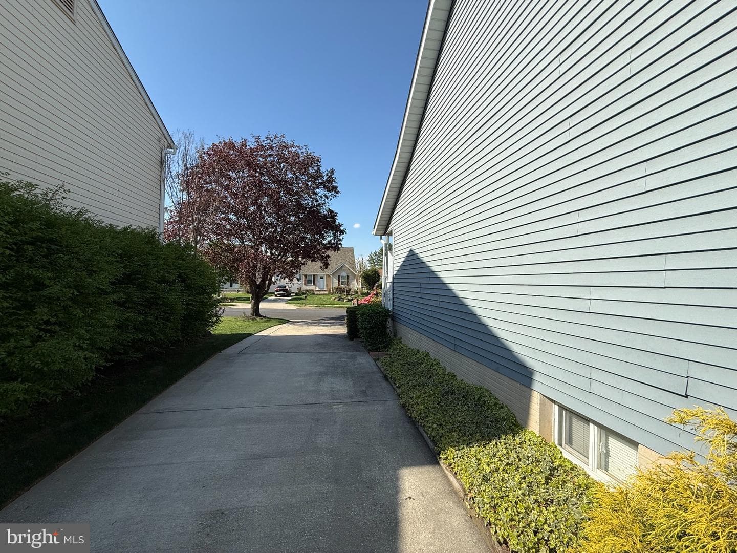 1576 Brimfield Circle photo 8