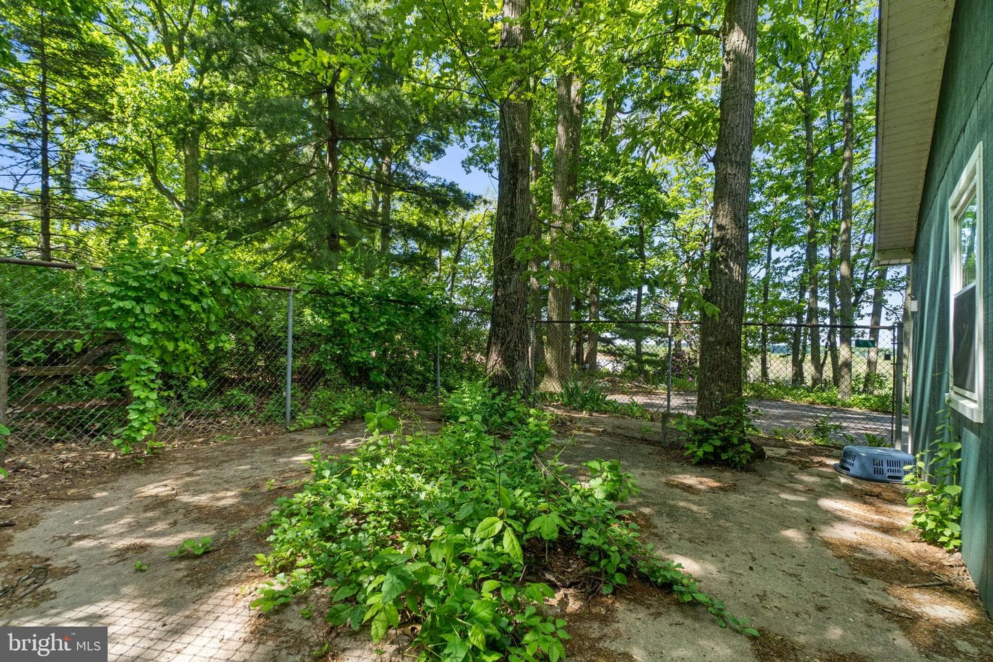 4627 Crossroad Schlhse Road photo 38