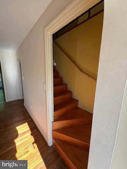 25 Kemper Avenue photo 31