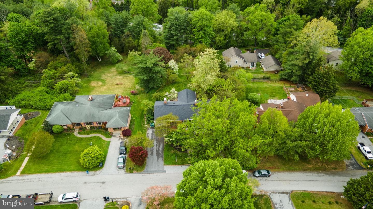 22 Fitzhugh Avenue photo 45