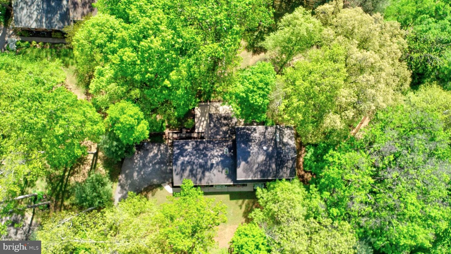 2219 Firewood Drive photo 8