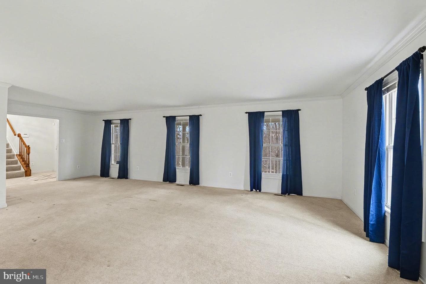 1645 Timber Summit Drive photo 7