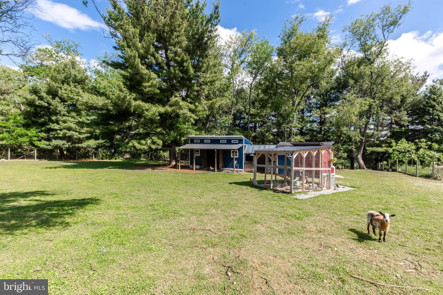 1684 Calico Drive photo 62