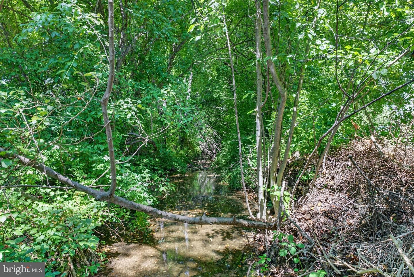 3845 Dakota Road photo 35