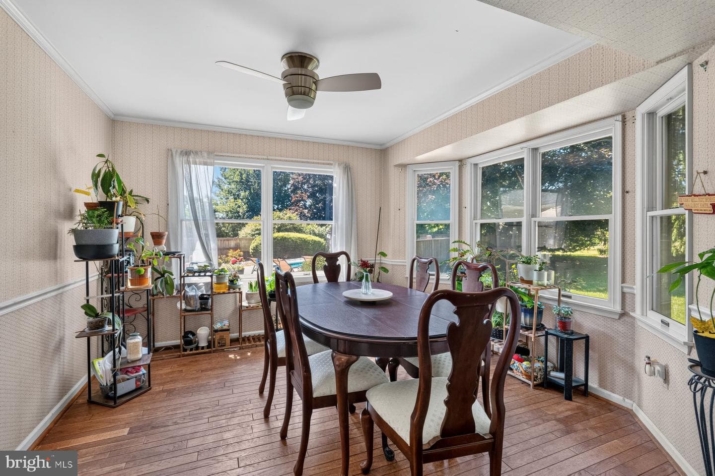 49 Rockland Road photo 33