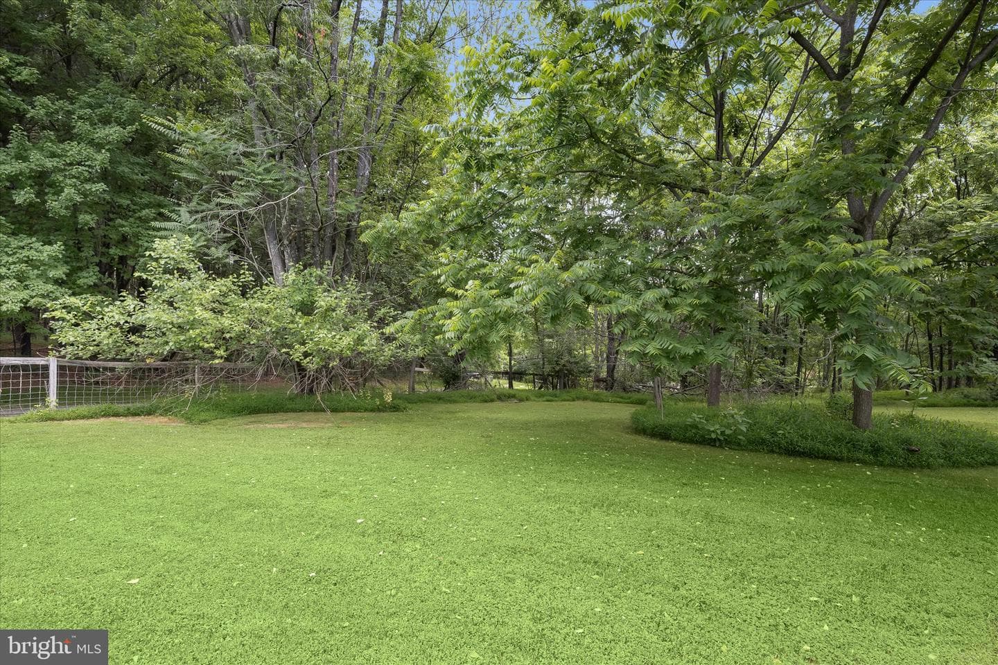 2319 Braddock Road photo 72
