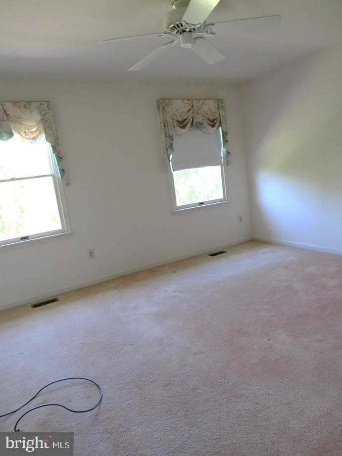 681 Hook Road photo 19