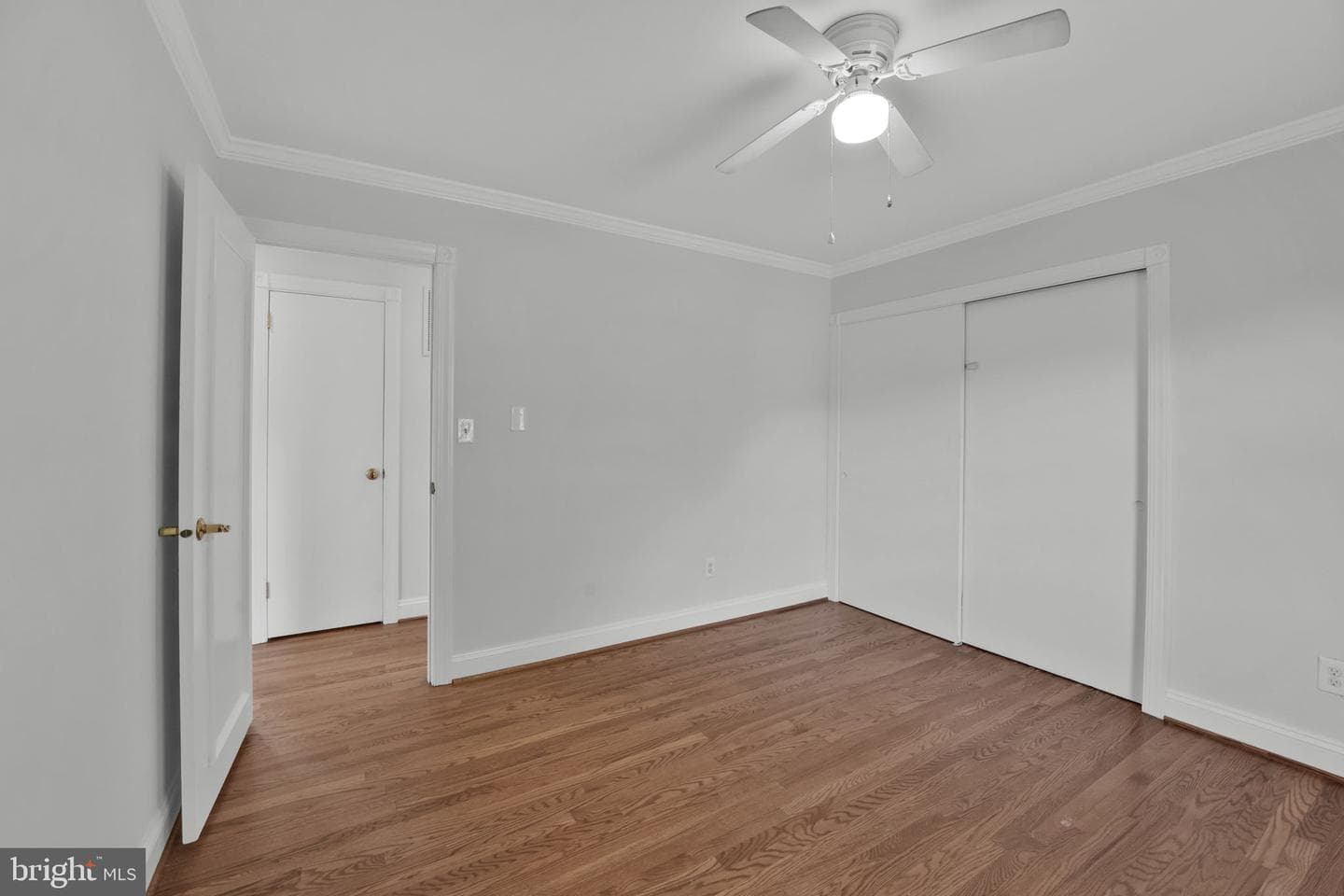 810 Wisteria Drive photo 16