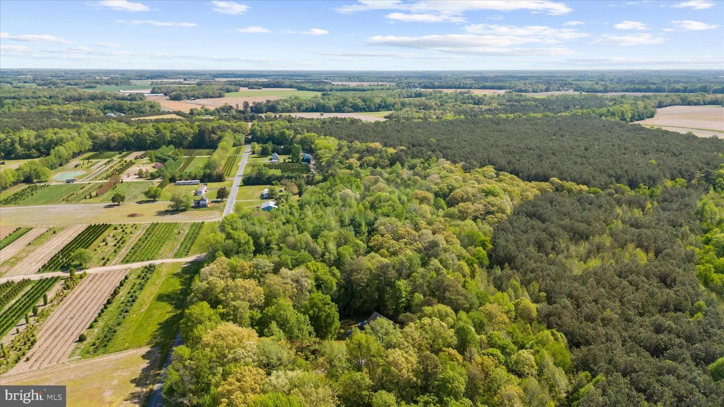 6941 Hubbard Road photo 54