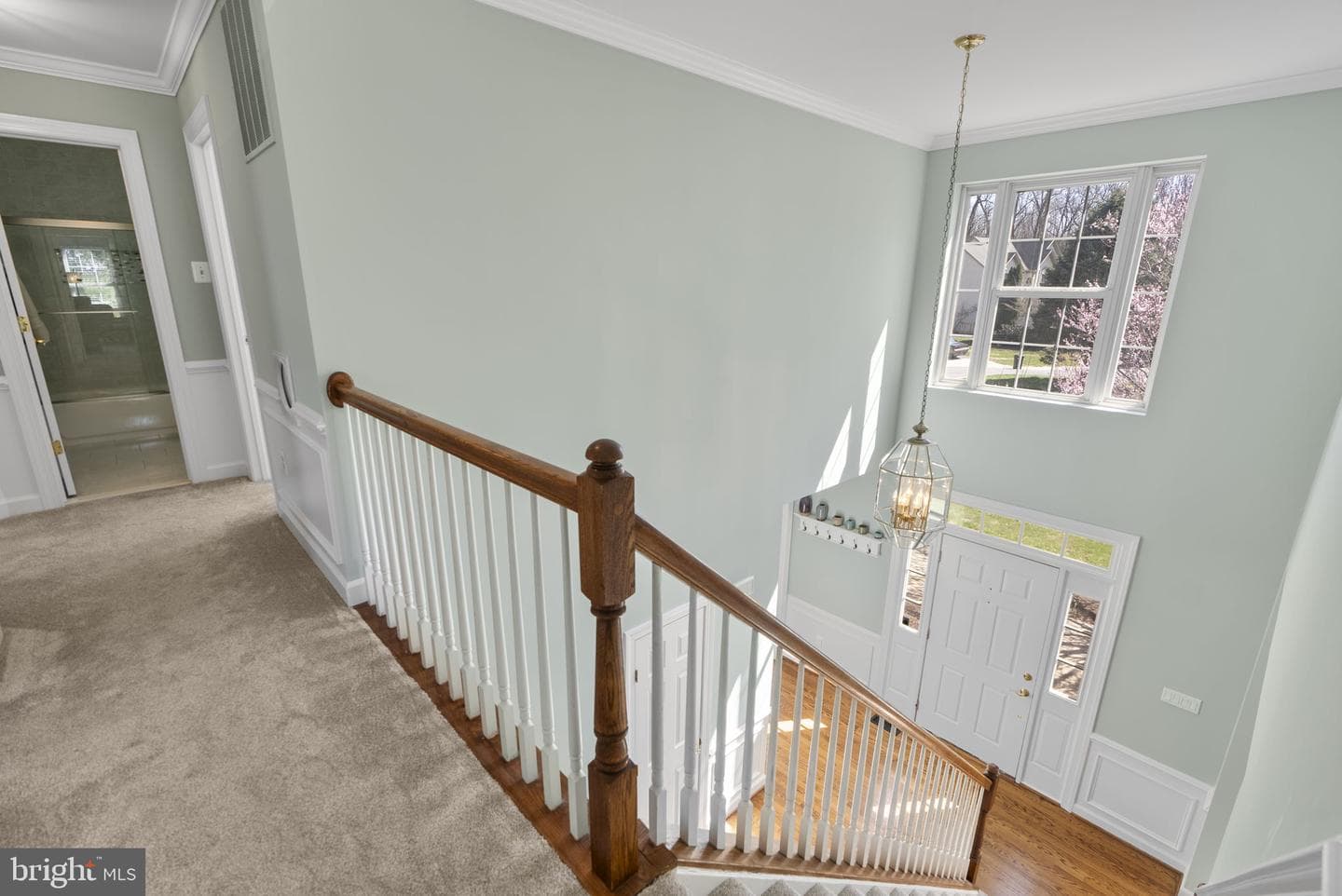11030 Nicholas Place photo 23