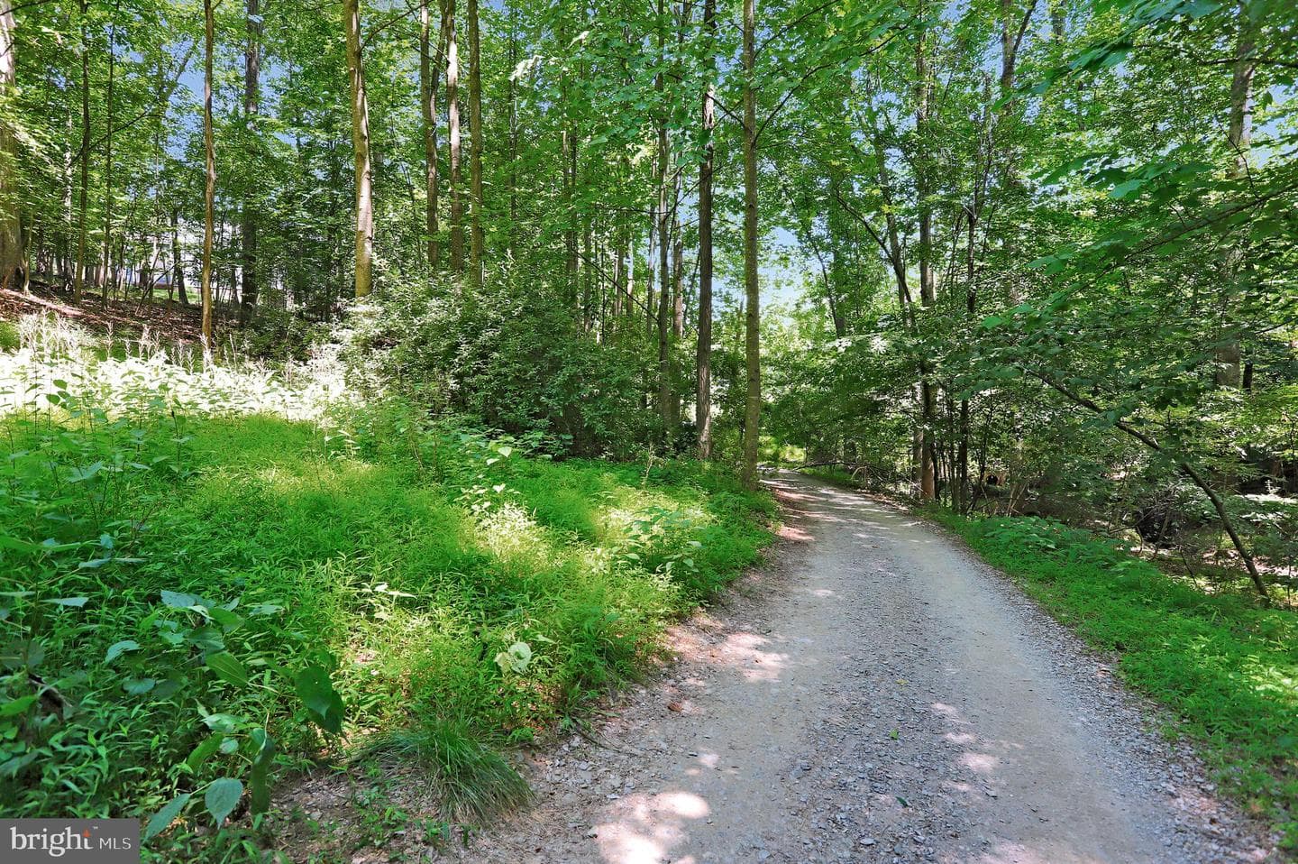 6705 W Lakeridge Road photo 61