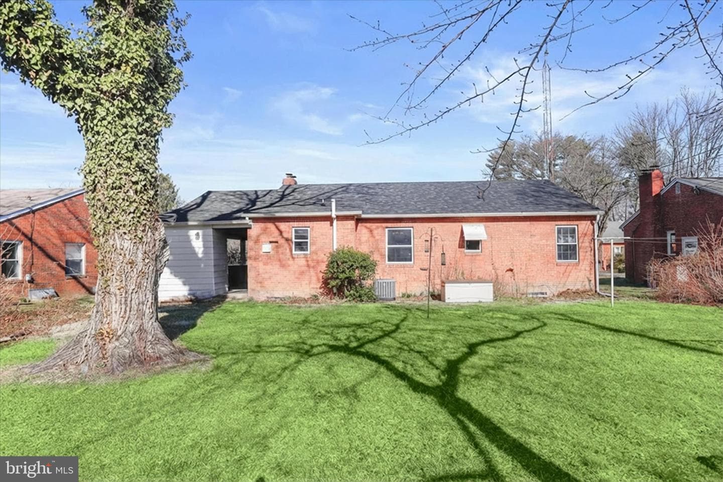502 Biggs Avenue photo 17