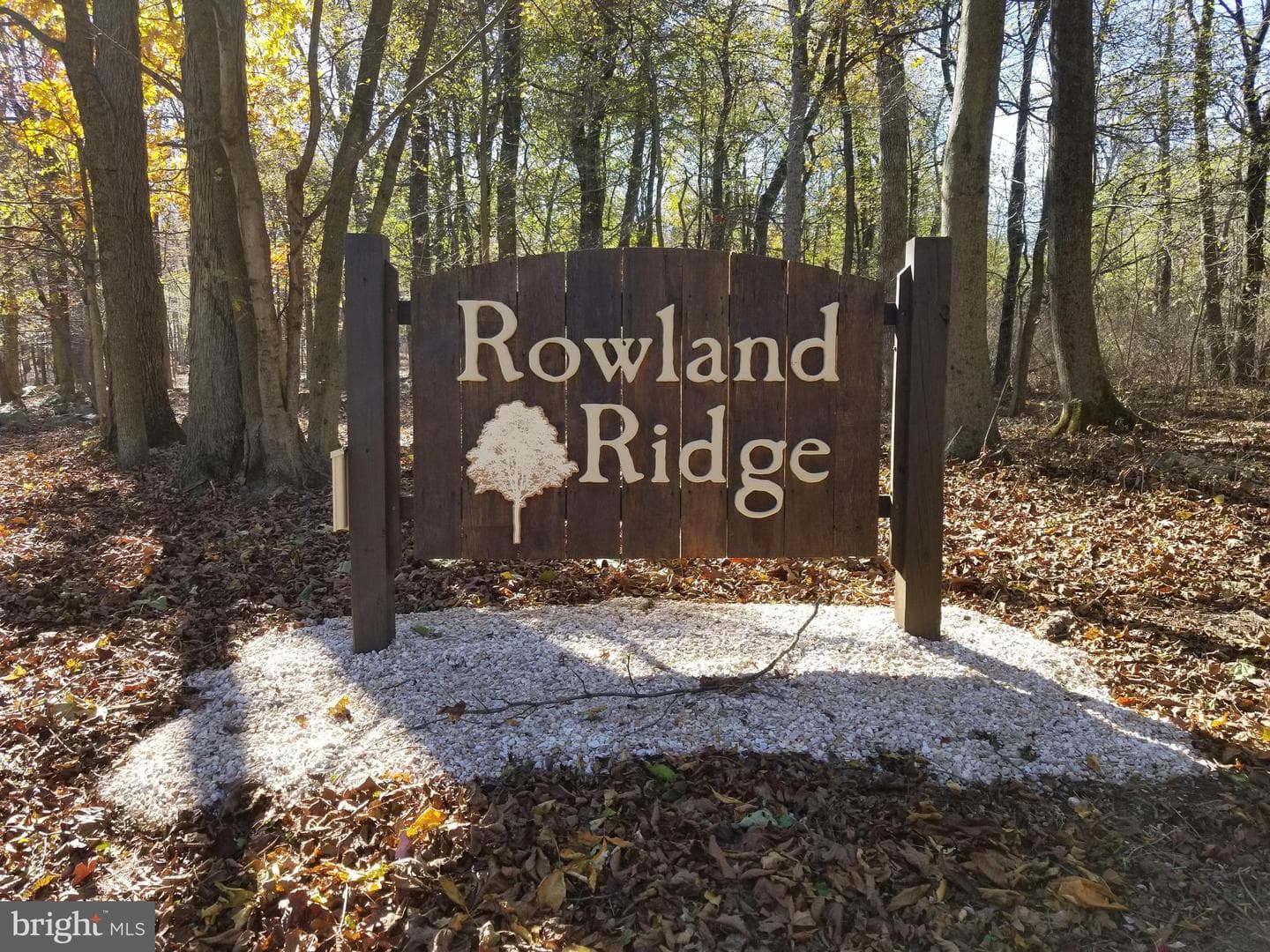 17566 Mountaintop Road photo 4