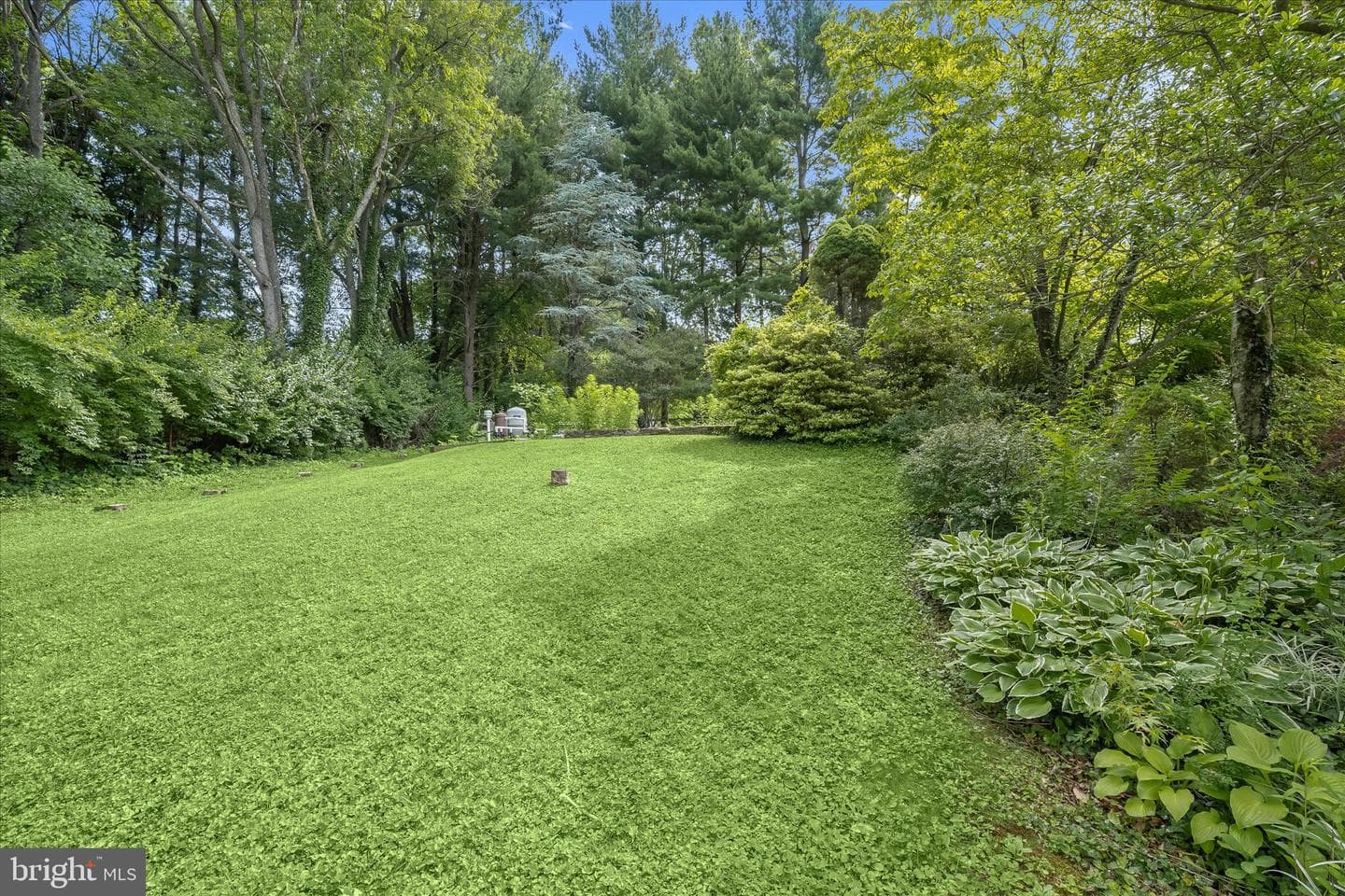 13612 Jacobs Road photo 79