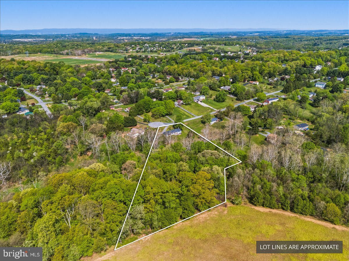 4389 Moleton Drive photo 6