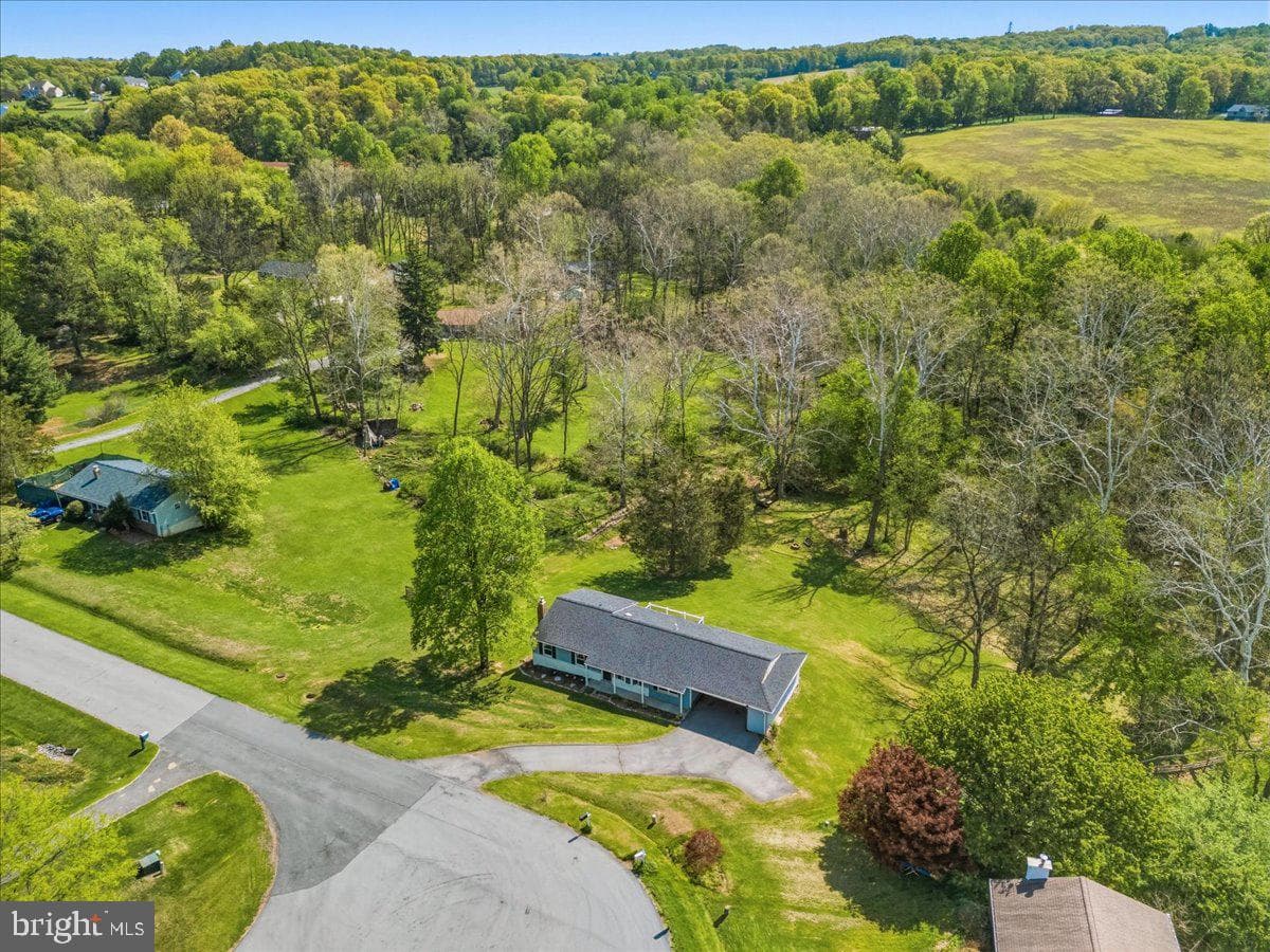 4389 Moleton Drive photo 9