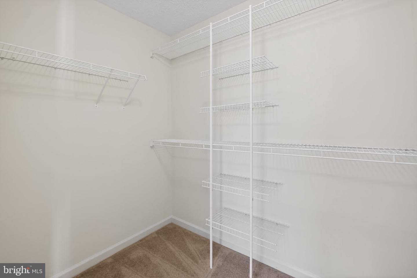 6409 Weatherby Court #m photo 15