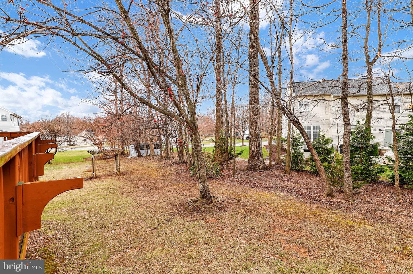 1229 Leafy Hollow photo 52