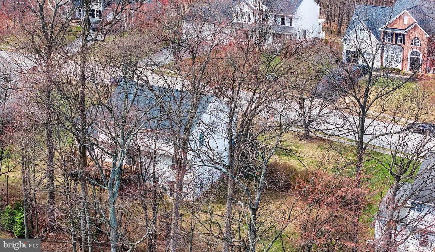 1229 Leafy Hollow photo 59