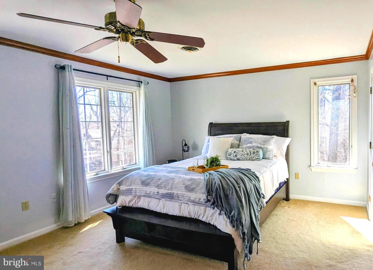 4750 Marianne Drive photo 9
