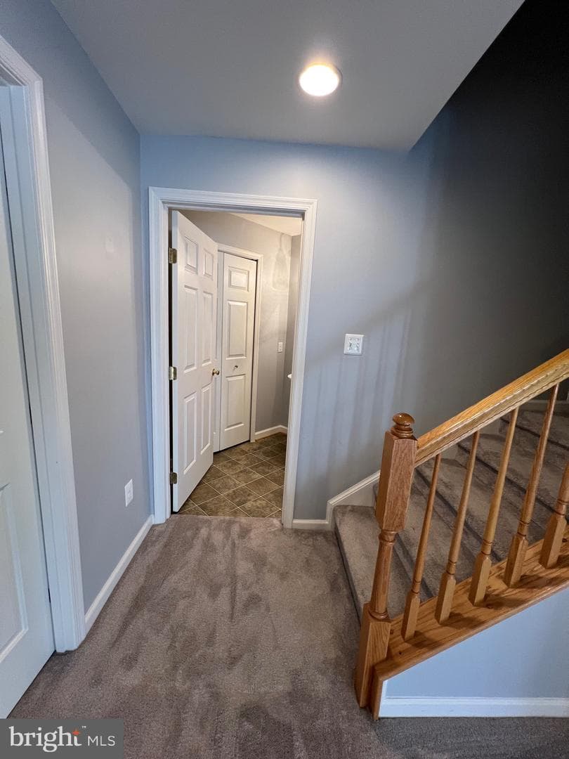 131 Fiona Way photo 29