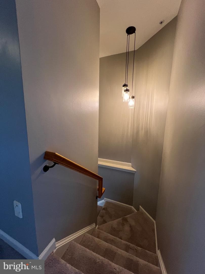 131 Fiona Way photo 42