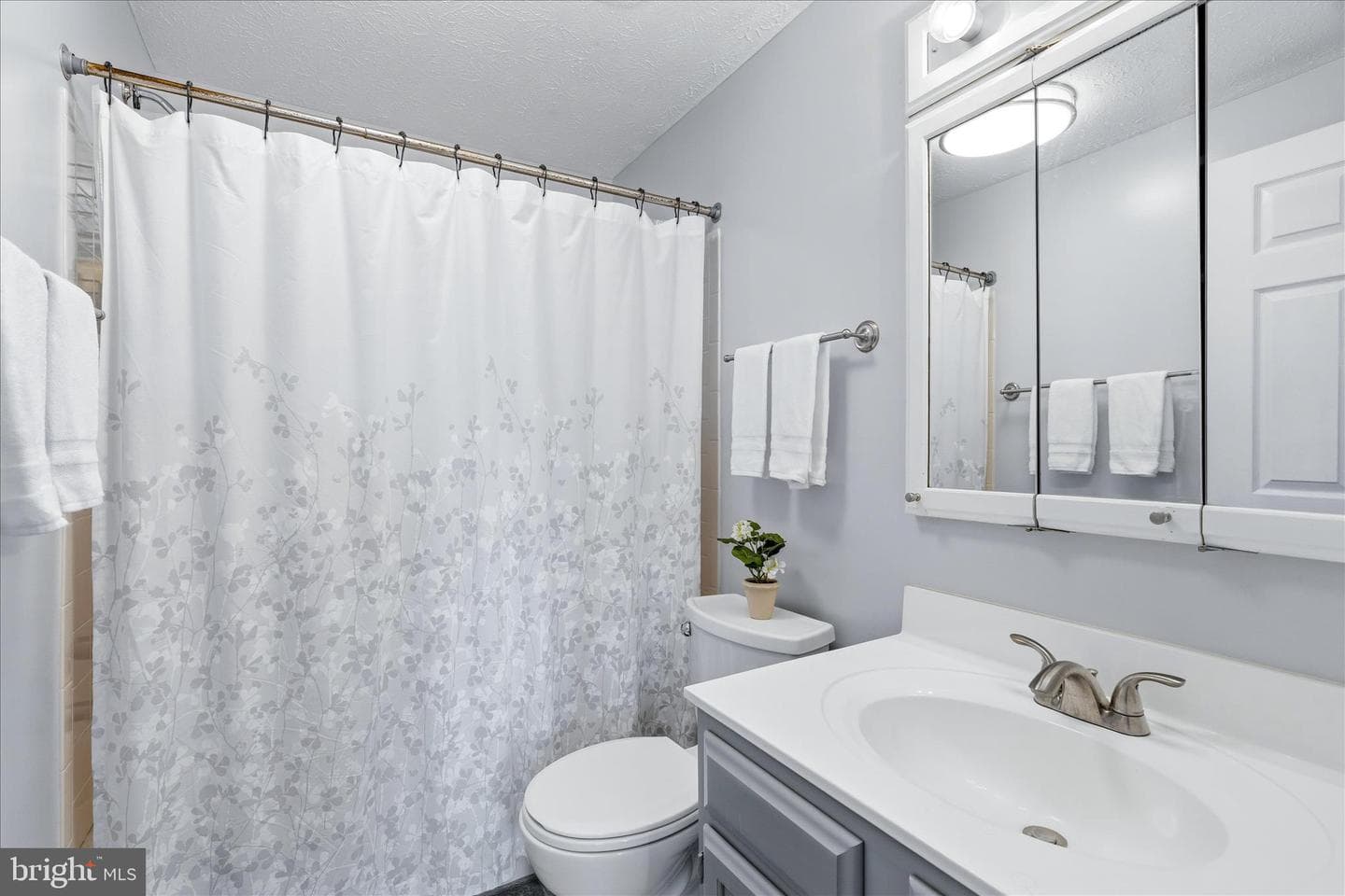 557 Boysenberry Lane photo 29