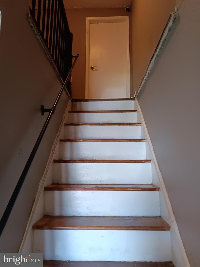 246 Canfield Terrace photo 9