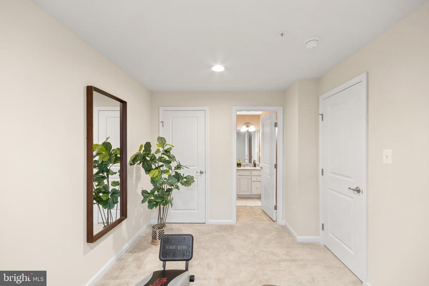 4502 Tinder Box Circle photo 58