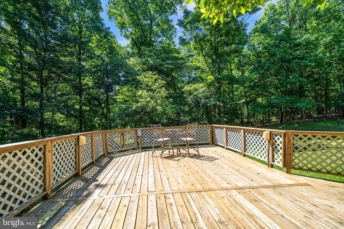 4509 Shaff Lane photo 31