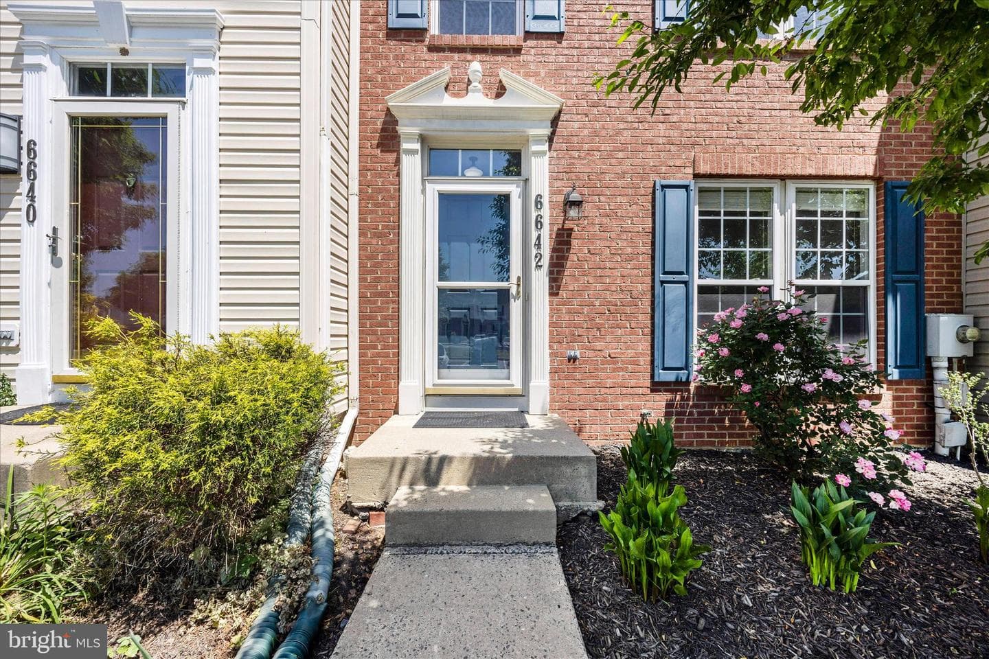 6642 Mcgrath Place photo 2