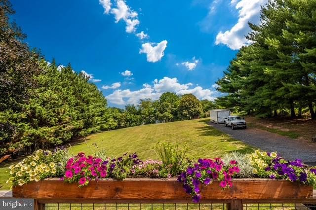 13448 Old Annapolis Road photo 6