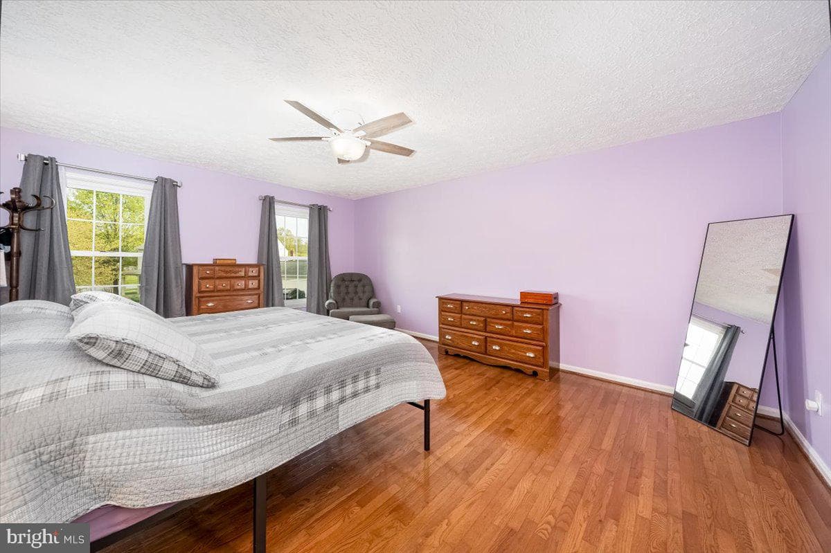 10651 Emmaline Drive photo 27
