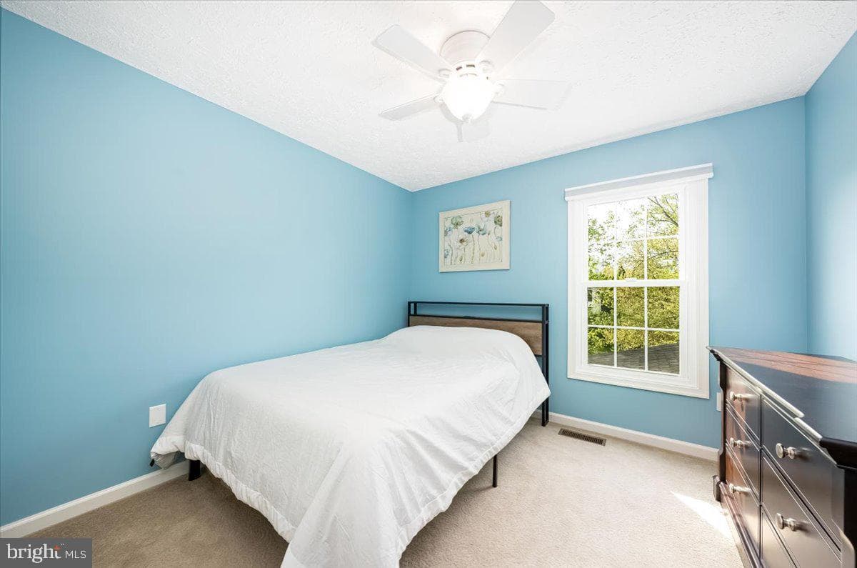 10651 Emmaline Drive photo 42